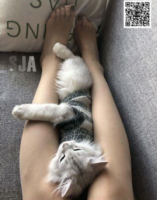 91不卡精品国产乱码久久精品无码_在线播放-手机电影免费播放