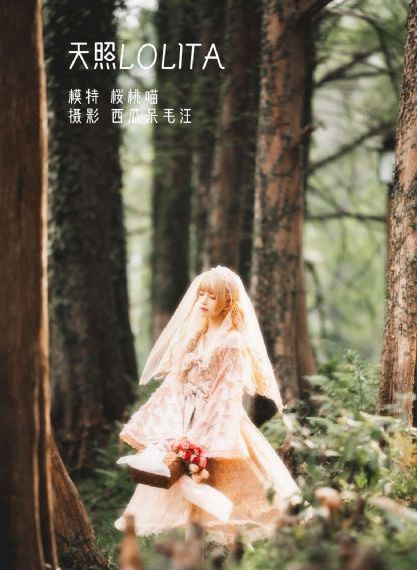 看亚洲大乳房大奶头网站视频_蓝光免费全集观看